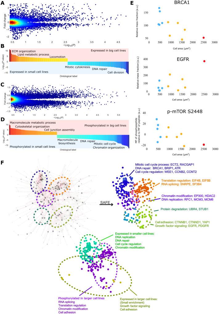 https://cdn.ncbi.nlm.nih.gov/pmc/blobs/be95/9876555/14ddf0e974e2/sciadv.add0636-f3.jpg