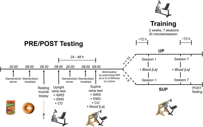 https://cdn.ncbi.nlm.nih.gov/pmc/blobs/be96/11987498/7eb2abbf7c93/j_teb-2025-0002_fig_003.jpg