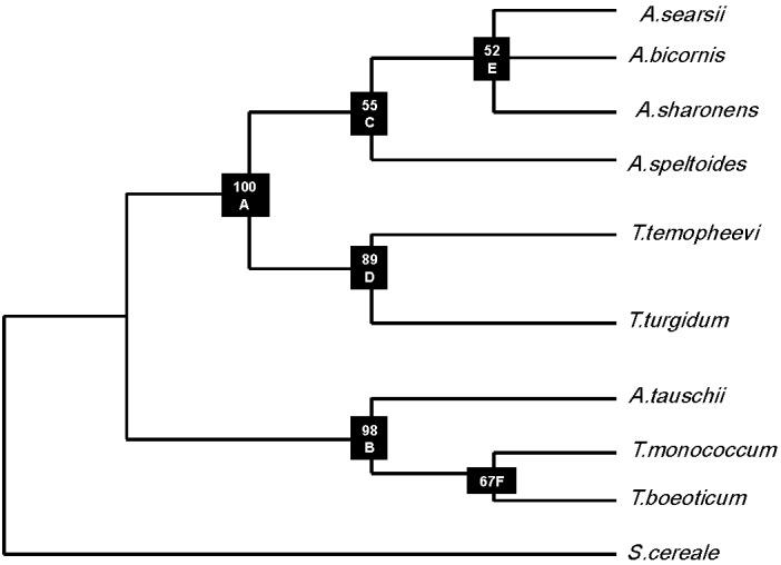 https://cdn.ncbi.nlm.nih.gov/pmc/blobs/be97/4030846/b3e8af125924/biomolecules-02-00228-g004.jpg
