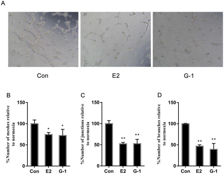 https://cdn.ncbi.nlm.nih.gov/pmc/blobs/be97/6216003/4ce5873ea969/jcav09p3802g002.jpg