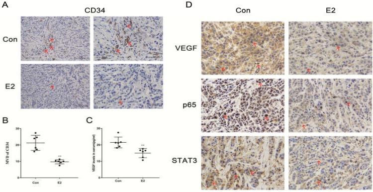 https://cdn.ncbi.nlm.nih.gov/pmc/blobs/be97/6216003/eb1bf23b7510/jcav09p3802g006.jpg