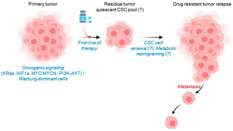 https://cdn.ncbi.nlm.nih.gov/pmc/blobs/be9a/10530558/5e9b463a52bc/ijms-24-13928-g001.jpg