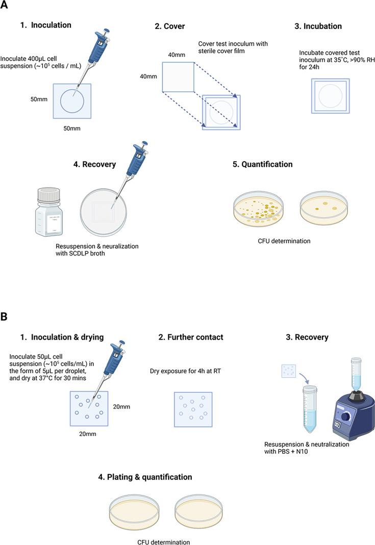 https://cdn.ncbi.nlm.nih.gov/pmc/blobs/be9a/11497783/ca289fe4fa89/aem.01150-24.f001.jpg