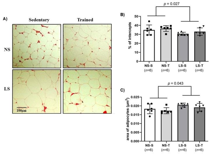 https://cdn.ncbi.nlm.nih.gov/pmc/blobs/be9e/11432465/78088fd9a601/ijms-25-10179-g008.jpg