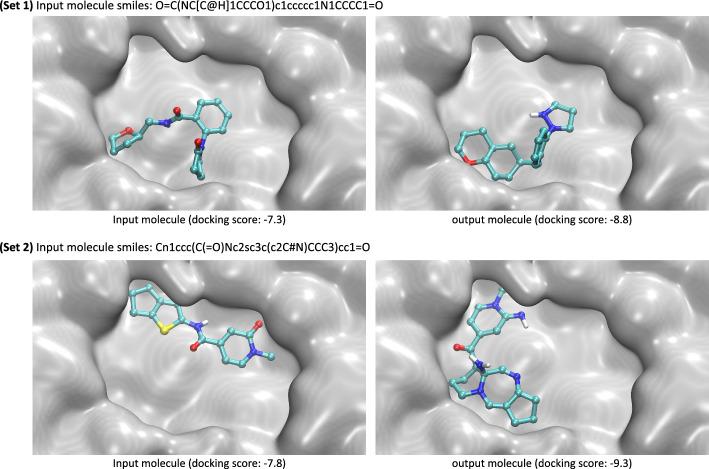 https://cdn.ncbi.nlm.nih.gov/pmc/blobs/bea1/12060419/fe8bd3e9f3a7/12859_2025_6072_Fig3_HTML.jpg