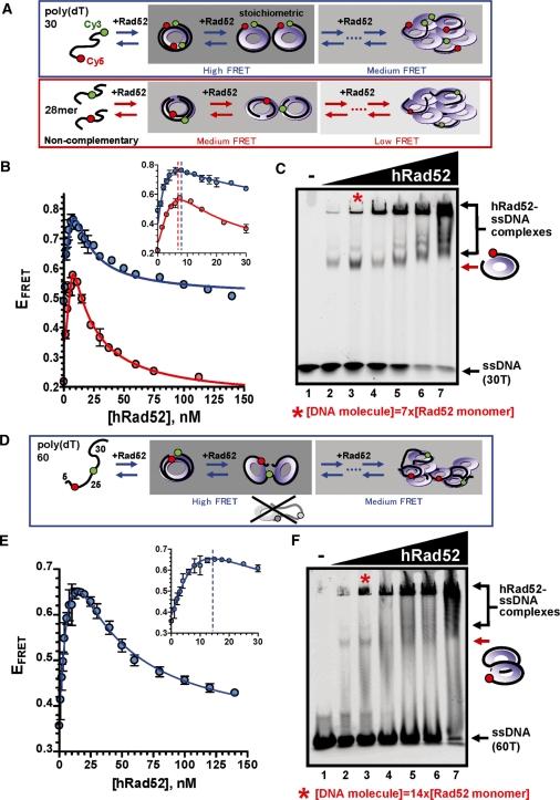 https://cdn.ncbi.nlm.nih.gov/pmc/blobs/bea1/2875008/972e323ae15c/gkp1249f1.jpg