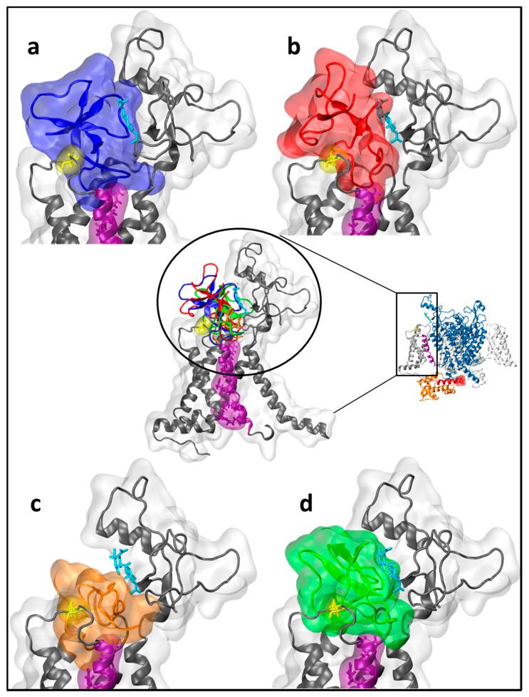 https://cdn.ncbi.nlm.nih.gov/pmc/blobs/bea1/7957711/01052152e4ff/molecules-26-01302-g005.jpg