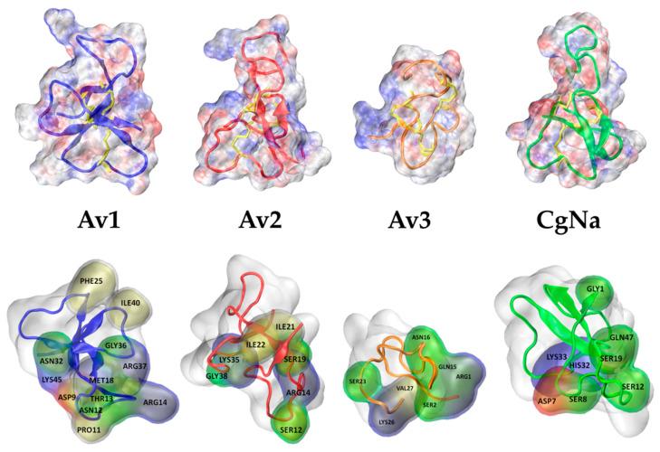 https://cdn.ncbi.nlm.nih.gov/pmc/blobs/bea1/7957711/afd40122a0d3/molecules-26-01302-g003.jpg