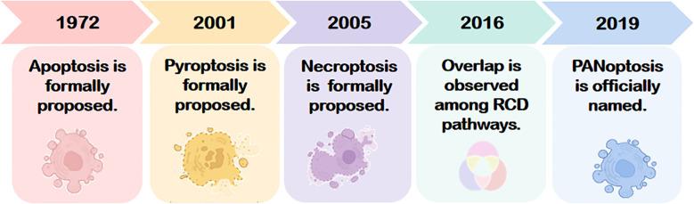 https://cdn.ncbi.nlm.nih.gov/pmc/blobs/bea2/12360039/3b9141301e82/fimmu-16-1626411-g001.jpg