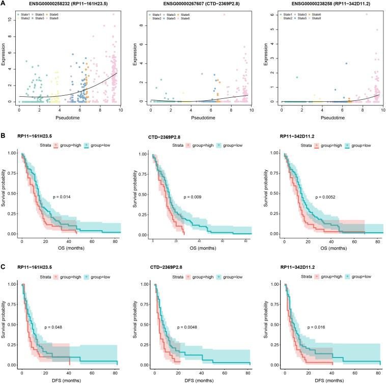 https://cdn.ncbi.nlm.nih.gov/pmc/blobs/bea2/7831882/c1d5732b8f9b/fgene-11-633455-g004.jpg