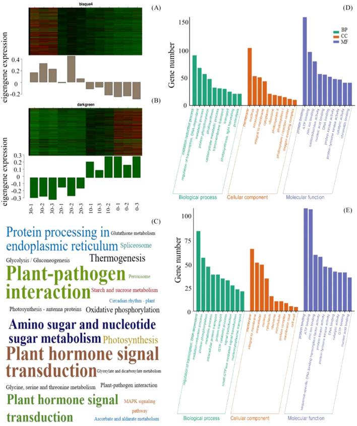 https://cdn.ncbi.nlm.nih.gov/pmc/blobs/bea3/12279718/1d182ed18090/fpls-16-1537516-g002.jpg