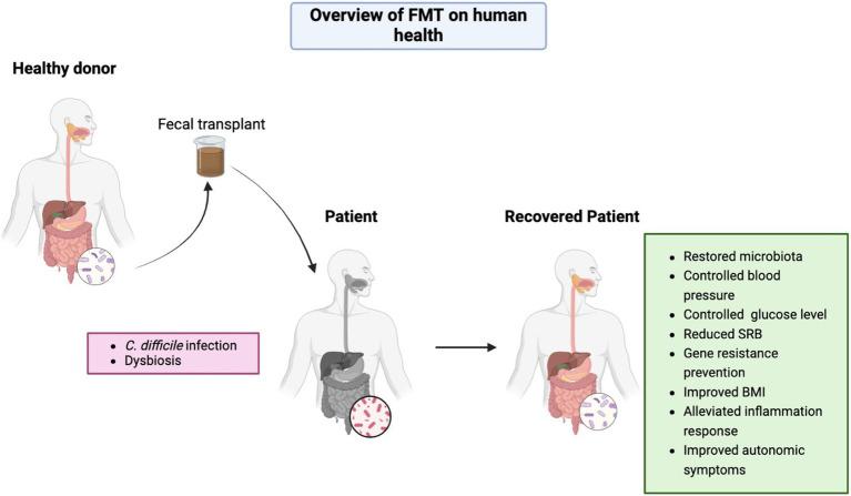 https://cdn.ncbi.nlm.nih.gov/pmc/blobs/bea4/11949973/6070c4b92dce/fmed-12-1523870-g001.jpg