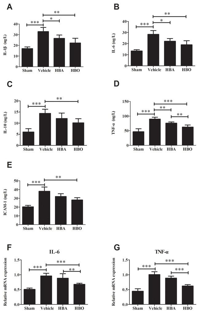 https://cdn.ncbi.nlm.nih.gov/pmc/blobs/bea4/5762340/e6506d62e43f/oncotarget-08-111522-g002.jpg