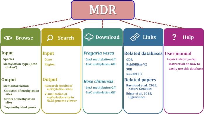 https://cdn.ncbi.nlm.nih.gov/pmc/blobs/bea6/6572862/a05192a80ebb/41438_2019_160_Fig1_HTML.jpg