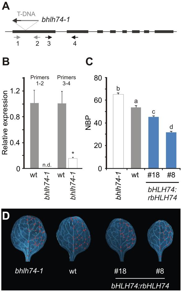 https://cdn.ncbi.nlm.nih.gov/pmc/blobs/bea7/3252272/4658e86af3d6/pgen.1002419.g003.jpg