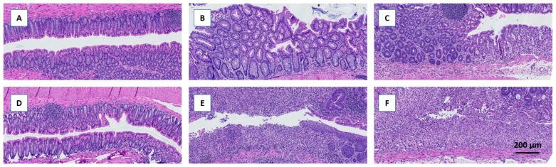 https://cdn.ncbi.nlm.nih.gov/pmc/blobs/bea8/11278623/8952b79ac91a/metabolites-14-00395-g003.jpg