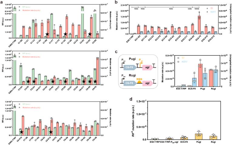 https://cdn.ncbi.nlm.nih.gov/pmc/blobs/bea8/12083895/d8f5fafe802a/gr3.jpg