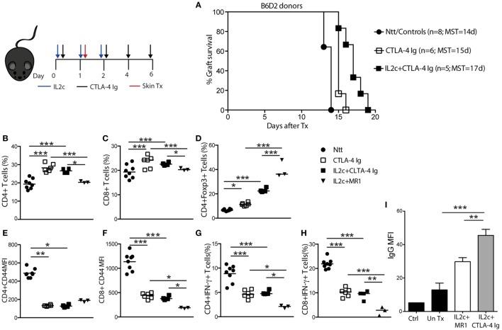 https://cdn.ncbi.nlm.nih.gov/pmc/blobs/bea8/5399033/ac171660829b/fimmu-08-00421-g005.jpg