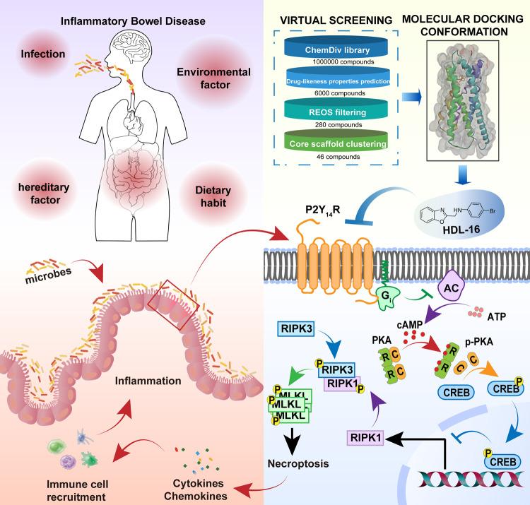 https://cdn.ncbi.nlm.nih.gov/pmc/blobs/beaa/10920779/0812e6b81e34/41467_2024_46365_Fig8_HTML.jpg