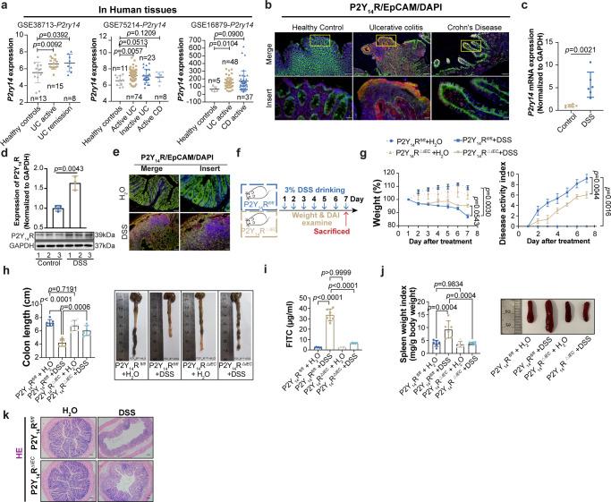 https://cdn.ncbi.nlm.nih.gov/pmc/blobs/beaa/10920779/b4e5f280ce0d/41467_2024_46365_Fig1_HTML.jpg