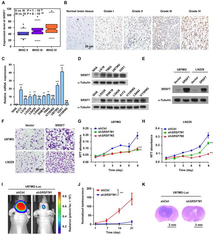 https://cdn.ncbi.nlm.nih.gov/pmc/blobs/beab/10787126/35205d15281a/gr4.jpg