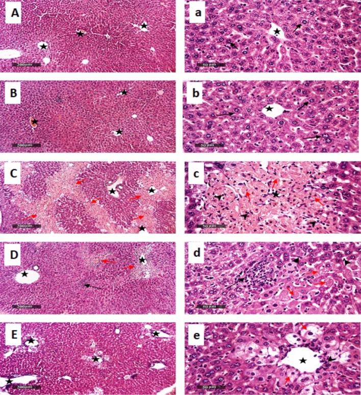 https://cdn.ncbi.nlm.nih.gov/pmc/blobs/bead/11699121/2e7991a98578/41598_2024_82163_Fig8_HTML.jpg