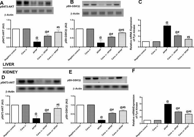 https://cdn.ncbi.nlm.nih.gov/pmc/blobs/bead/11699121/b46d3fcd0b8d/41598_2024_82163_Fig3_HTML.jpg