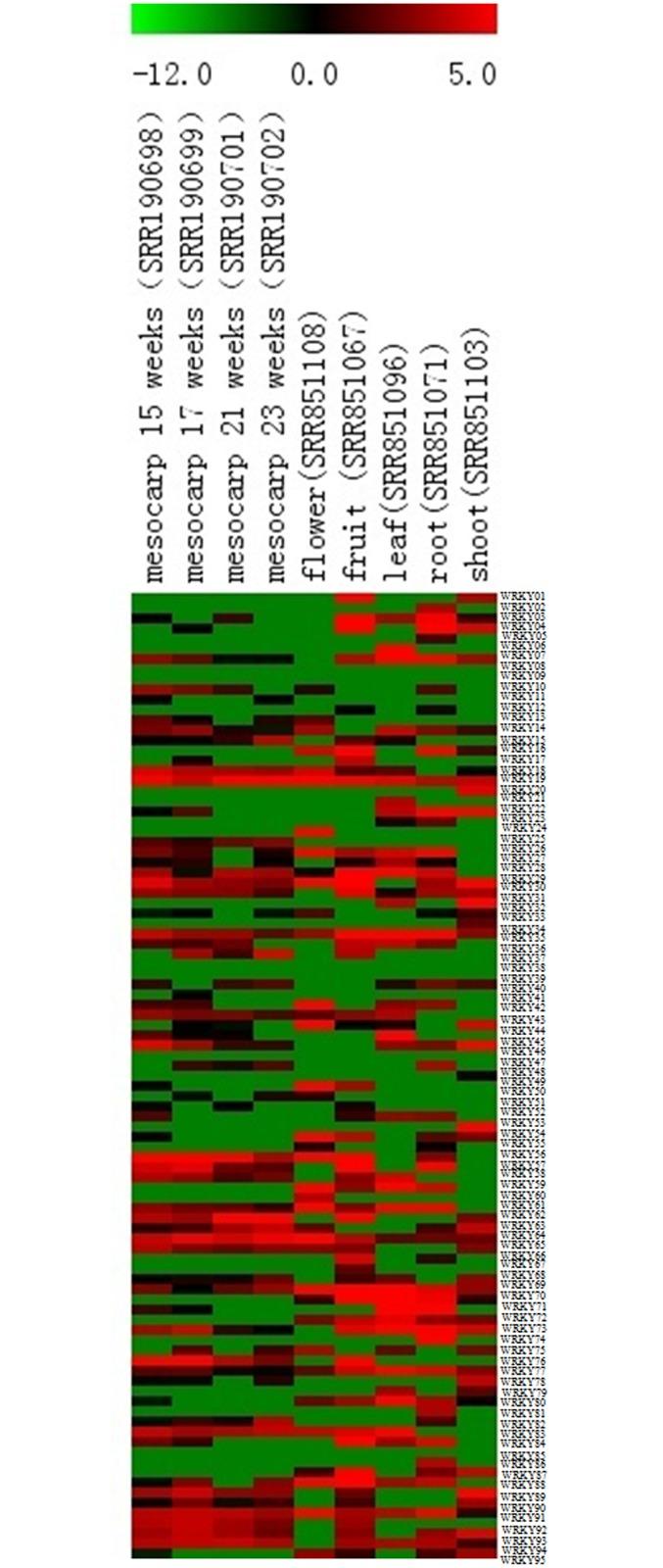 https://cdn.ncbi.nlm.nih.gov/pmc/blobs/beaf/5724828/45649f433608/pone.0189224.g006.jpg