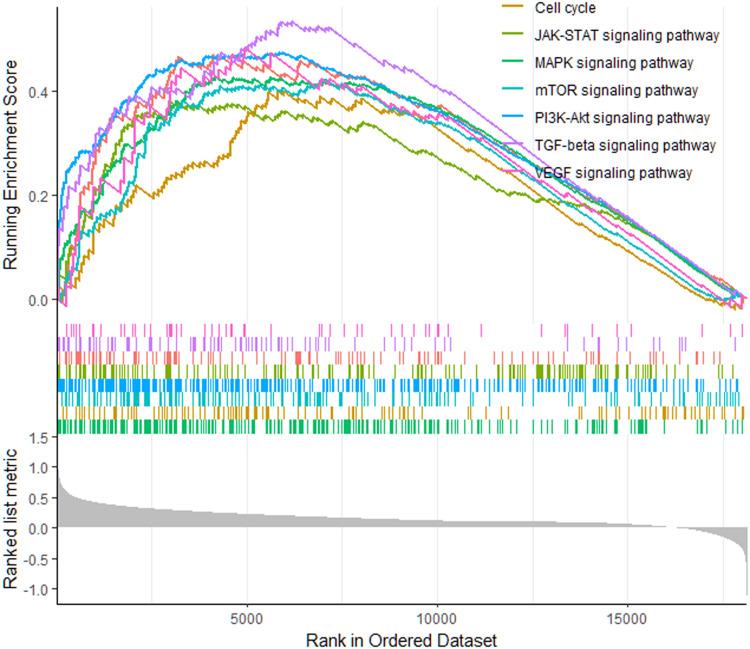https://cdn.ncbi.nlm.nih.gov/pmc/blobs/beb1/10281280/a0cf952999aa/IJGM-16-2503-g0004.jpg
