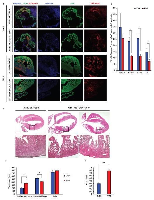 https://cdn.ncbi.nlm.nih.gov/pmc/blobs/beb1/5042877/4e9e542274df/nihms810571f4.jpg