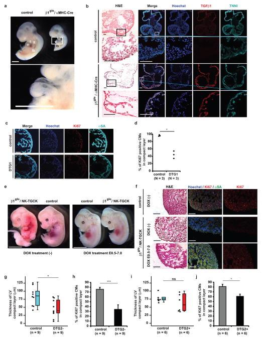 https://cdn.ncbi.nlm.nih.gov/pmc/blobs/beb1/5042877/9ed339055324/nihms810571f3.jpg