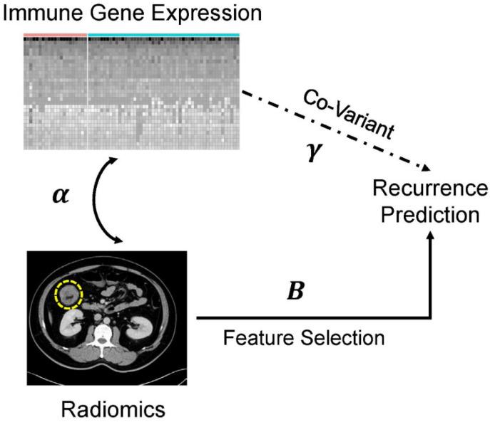 https://cdn.ncbi.nlm.nih.gov/pmc/blobs/beb3/9029745/99d2c0483b54/cancers-14-01895-g001.jpg
