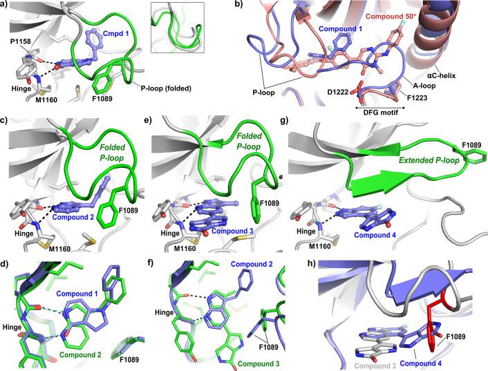 https://cdn.ncbi.nlm.nih.gov/pmc/blobs/beb6/7812667/8dea369cc97b/ml0c00392_0002.jpg