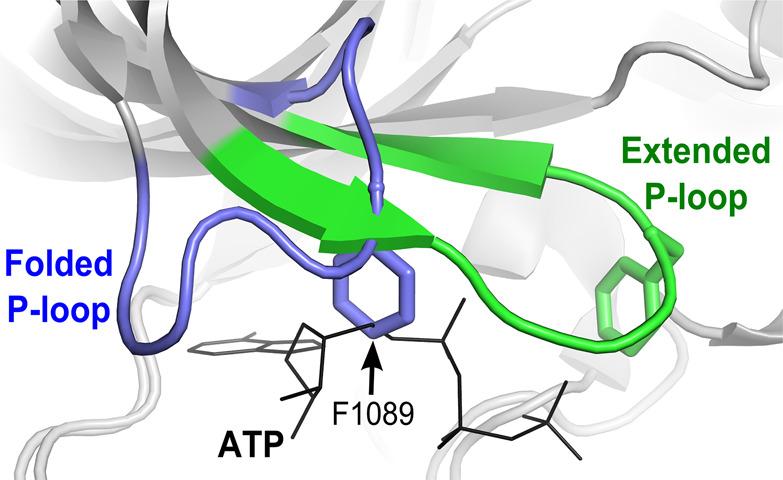https://cdn.ncbi.nlm.nih.gov/pmc/blobs/beb6/7812667/c7348f19d335/ml0c00392_0001.jpg