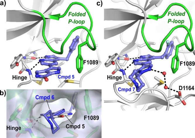 https://cdn.ncbi.nlm.nih.gov/pmc/blobs/beb6/7812667/fe7f32278835/ml0c00392_0003.jpg