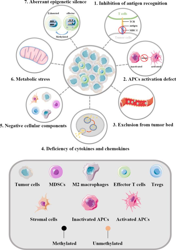 https://cdn.ncbi.nlm.nih.gov/pmc/blobs/beb7/7886973/9b2bb13a5c5b/fonc-10-584367-g001.jpg