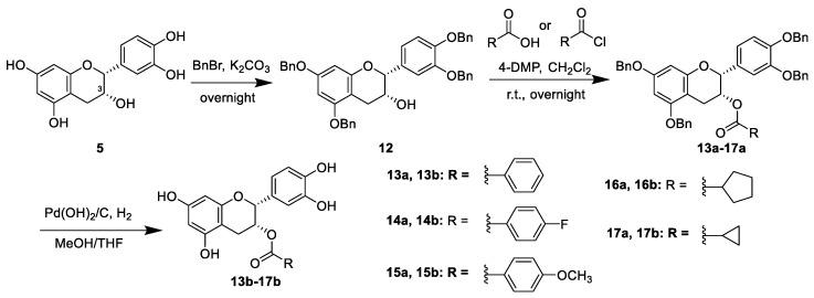 https://cdn.ncbi.nlm.nih.gov/pmc/blobs/beb7/8910447/436ca7011bee/ijms-23-02620-sch001.jpg