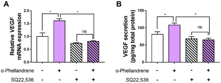 https://cdn.ncbi.nlm.nih.gov/pmc/blobs/beb7/9409021/0ae519f7d79b/ijms-23-08959-g006.jpg