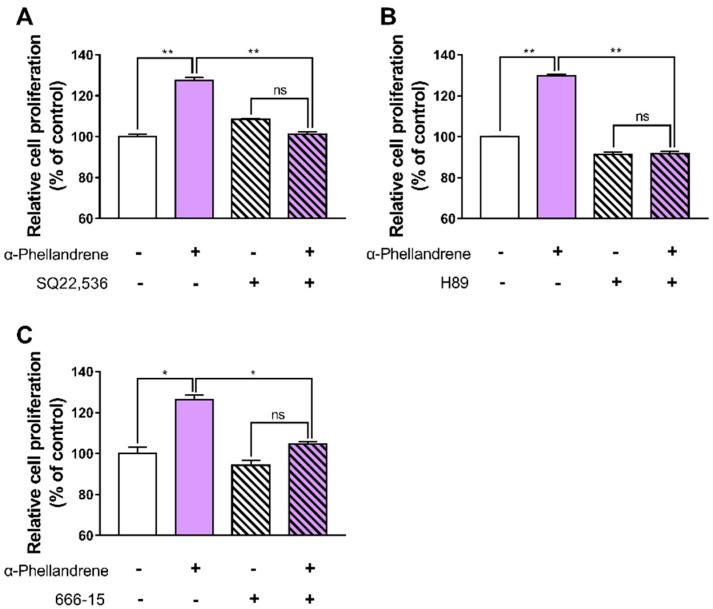https://cdn.ncbi.nlm.nih.gov/pmc/blobs/beb7/9409021/aa994dec8ba3/ijms-23-08959-g004.jpg