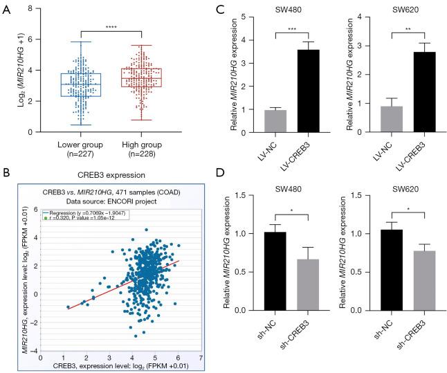 https://cdn.ncbi.nlm.nih.gov/pmc/blobs/beb8/12170202/7e052397164b/tcr-14-05-2874-f1.jpg
