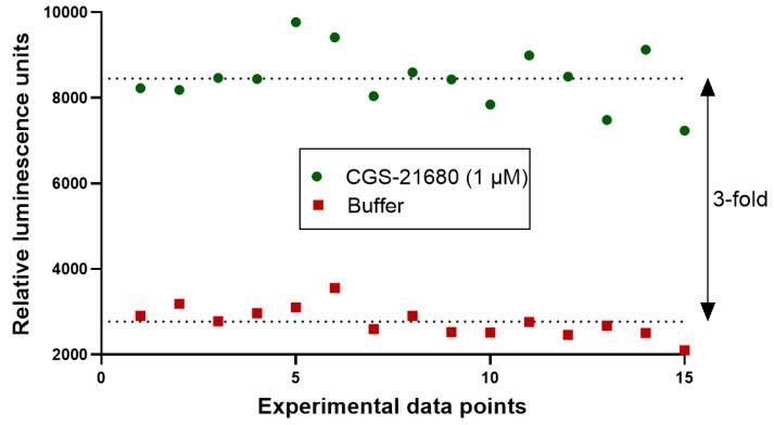 https://cdn.ncbi.nlm.nih.gov/pmc/blobs/beb8/7866863/7bbf2e11aa03/ijms-22-01417-g009.jpg