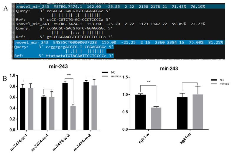 https://cdn.ncbi.nlm.nih.gov/pmc/blobs/beb9/9032878/2dc4f0ec4a2b/genes-13-00668-g006.jpg