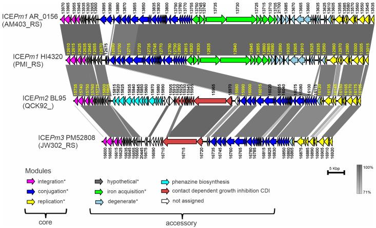 https://cdn.ncbi.nlm.nih.gov/pmc/blobs/beba/11278526/a9131597b814/microorganisms-12-01321-g003.jpg