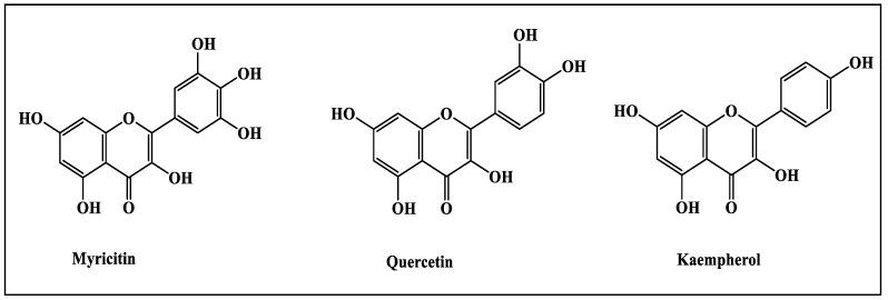 https://cdn.ncbi.nlm.nih.gov/pmc/blobs/beba/9416604/5411b7febcad/metabolites-12-00750-g001.jpg