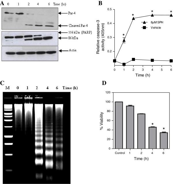 https://cdn.ncbi.nlm.nih.gov/pmc/blobs/bebc/3599610/9215fe315753/1750-2187-8-2-1.jpg