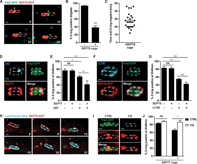 https://cdn.ncbi.nlm.nih.gov/pmc/blobs/bebd/6299245/b0761a734e59/gr4.jpg