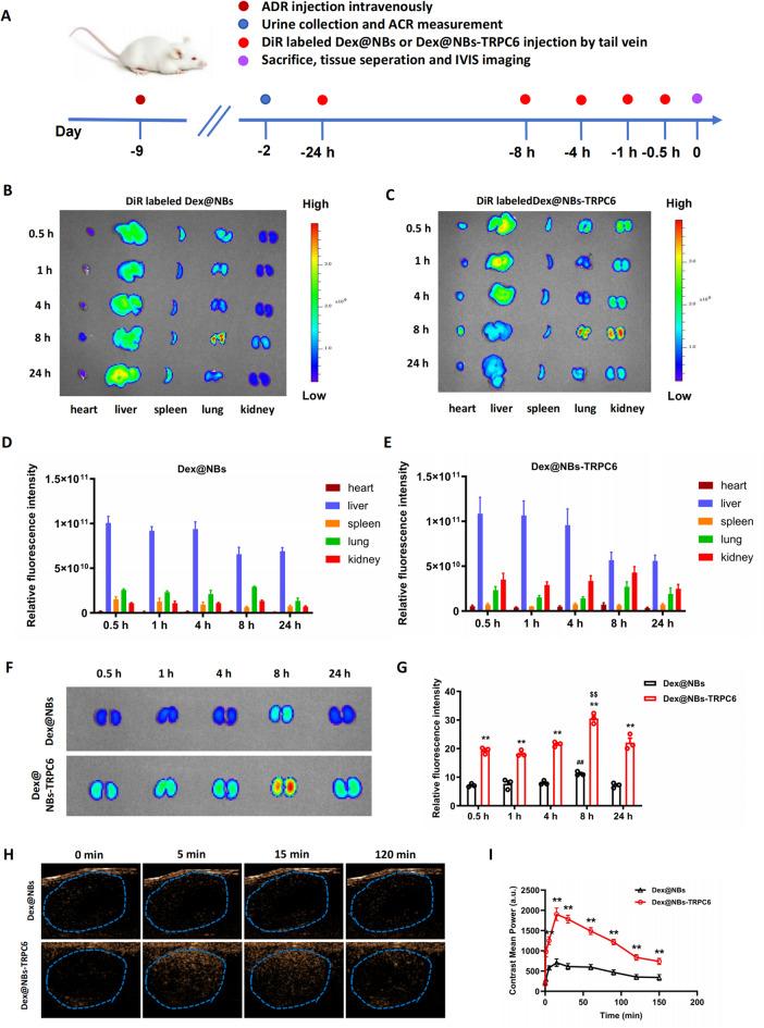 https://cdn.ncbi.nlm.nih.gov/pmc/blobs/bebe/12124086/996ca0316349/12951_2025_3487_Fig4_HTML.jpg