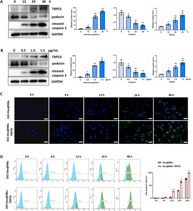 https://cdn.ncbi.nlm.nih.gov/pmc/blobs/bebe/12124086/ac4d4c718564/12951_2025_3487_Fig2_HTML.jpg