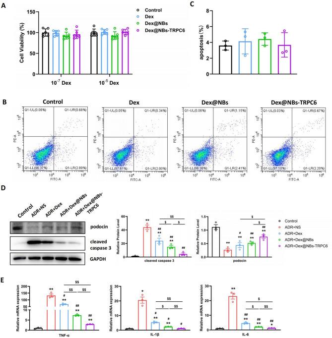 https://cdn.ncbi.nlm.nih.gov/pmc/blobs/bebe/12124086/d5a51de663f8/12951_2025_3487_Fig3_HTML.jpg