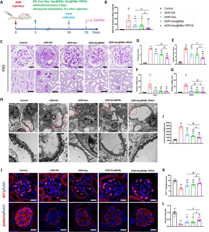 https://cdn.ncbi.nlm.nih.gov/pmc/blobs/bebe/12124086/e9ccf244329c/12951_2025_3487_Fig5_HTML.jpg